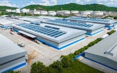 How Can UK Businesses Make Best Use of Renewable Energy?