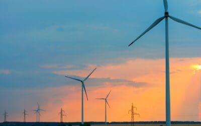 How to Participate in Renewable Energy