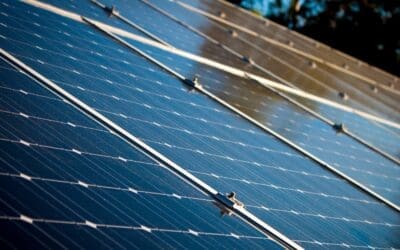 Roles Individuals Can Play in the Renewable Energy Transition